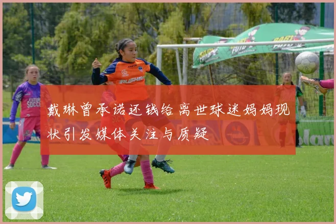 戴琳曾承诺还钱给离世球迷妈妈现状引发媒体关注与质疑