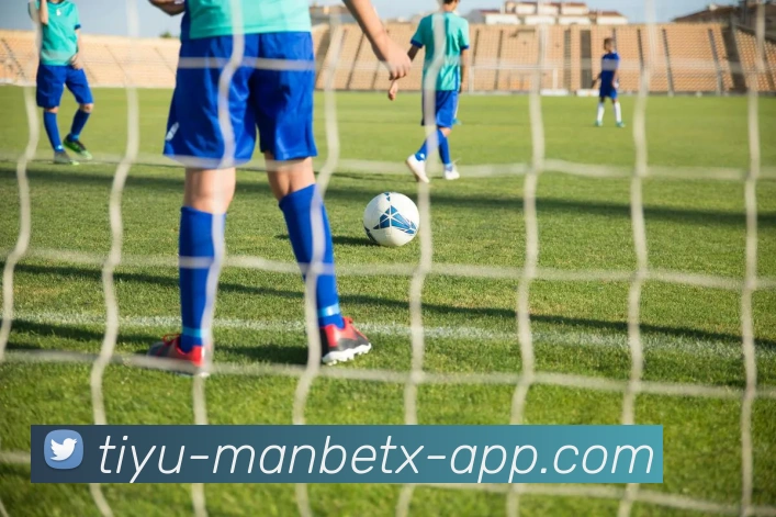 万博体育APP 封面图